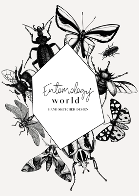 Hand-sketched insect wreath template. Hand drawn beetles, bugs, butterflies, dragonfly, cicada, moths, bee illustrations in vintage style. Entomological frame design with insects outlines